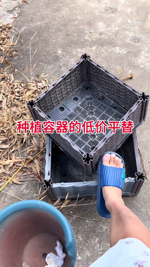 DY容器直装.apK.1