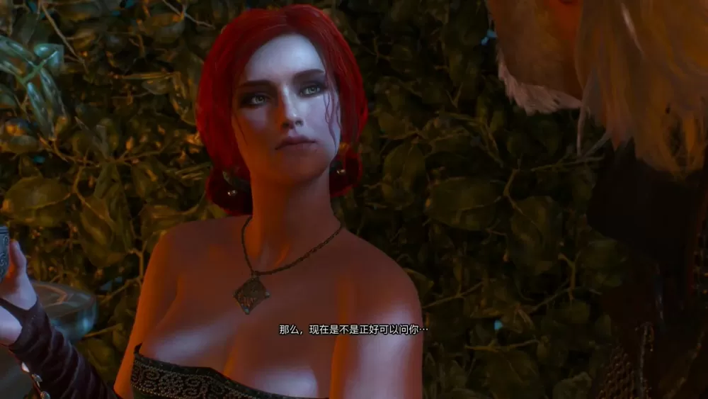 巫师3攻略特莉丝选项图标