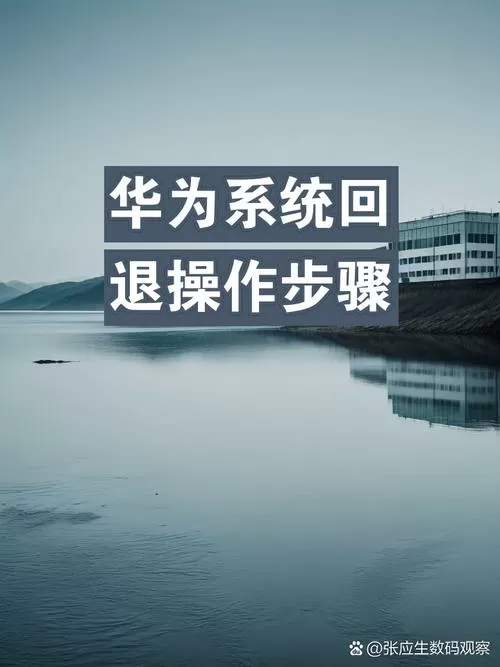 华为退回旧系统游戏截图