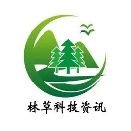 返旧林游戏截图