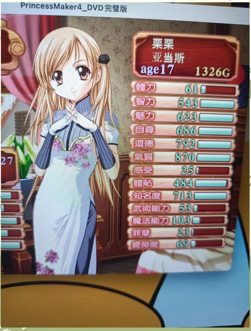 美少女梦工厂4游戏图标